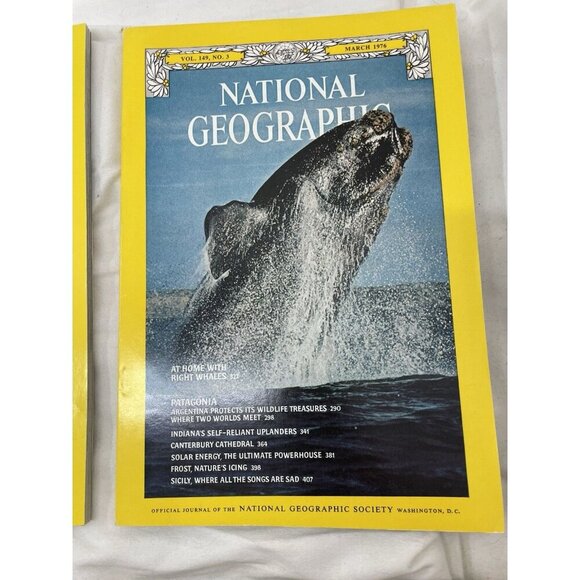 Nat Geo Jan–Jun 1976 Slipcover Set | Science, Nature, Travel Magazine - Picture 15 of 16